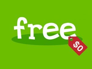 Free Website Cost